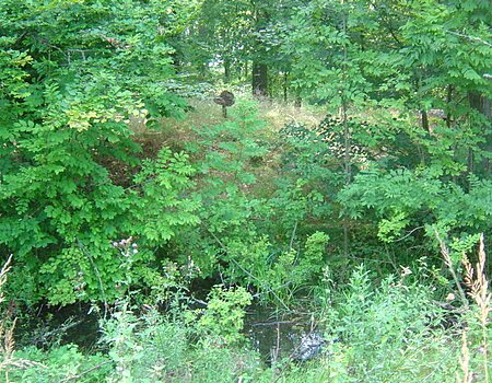 Keltenschanze bei Amerdingen