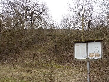 Infotafel an der Wallanlage Ried bei Monheim