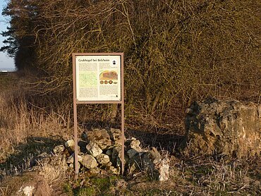 Infotafel Grabhügelgruppe Belzheim