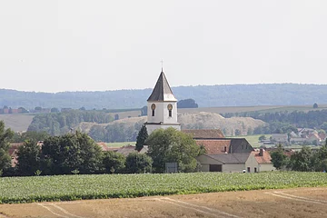 Blick auf Schaffhausen