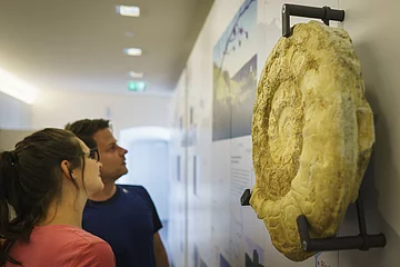 Ausstellung im Informationszentrum Naturpark Altmühltal