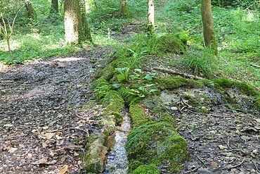 Steinerne Rinne Hechlingen