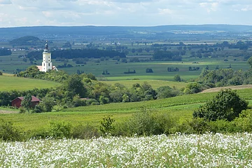 Ausblick ins Ries